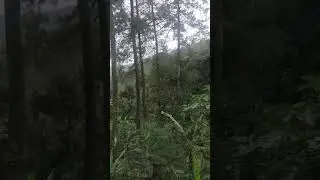 Wamena bergemuruh