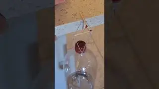 Amazing Balancing Trick Explained 