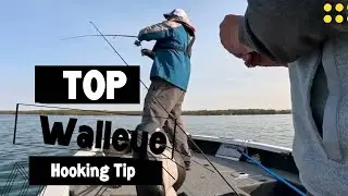 Top Walleye Hooking Tip | the Reeling Hookset