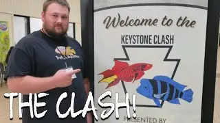 Keystone Clash 2022