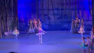 Спящая красавица.