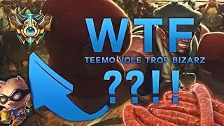 WTF??? UN TEEMO VOLE