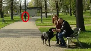 After effects remove objects from yours movie