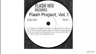 Vários Artistas - Fernando's Flash Project, Vol. 1 (Download em breve)