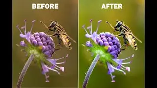 Tutorial - Editing Images in Adobe Lightroom - Colour Correction | Touch-up