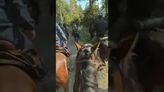 летняя прогулка