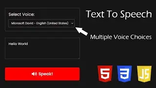 Make a Text To Speech with HTML, CSS & JavaScript