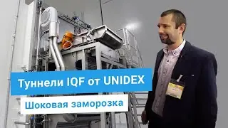 Морозильные туннели шоковой заморозки IQF от UNIDEX. Заморозка ягод, фруктов, овощей, рыбы, грибов.