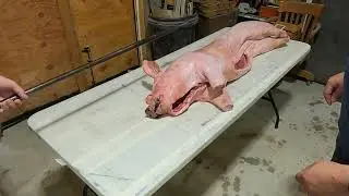 How to Mount a 100lb Pig on a Spit