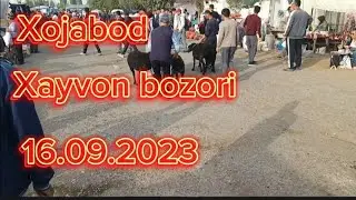 Андижон вилояти Хожабод Хайвон бозори Факат сотилганлари.16 09 2023