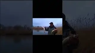 АМУР САЗАН!!! СЕЗОН ОТКРЫТ !!! 