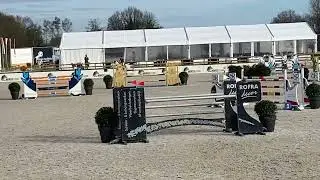 Chantilly - 2010y, mare, by Baloubet de Rouet x Capitol I - 145cm jumping CSI