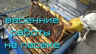 ВЕСЕННИЕ РАБОТЫ НА ПАСЕКЕ. ВСЁ ЧТО НЕОБХОДИМО СДЕЛАТЬ ПРАВИЛЬНО И НЕ ДОПУСТИТЬ ОШИБОК.