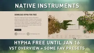 NATIVE INSTRUMENTS - HYPHA FREE VST - Overview + Some Presets