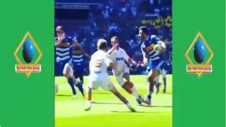 Best Rugby Vines Compilation - Vines Rugby Compilation - Sports Vines - Vines Sports 2015