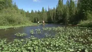 Рыбалка на севере. Хариус на нахлыст.