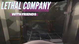 Everything is Awesome - Lethal Company with Friends