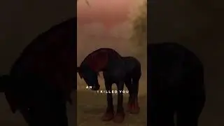 #horse #starstableonlinehorses #horsegame #ssoedit #starstablehorses #starstableonlineedit #edit