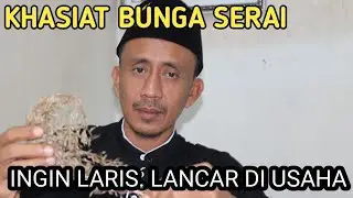 KHASIAT BUNGA SERAI