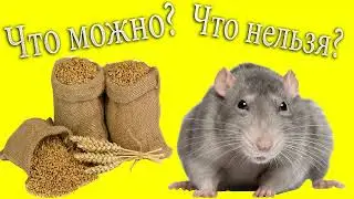 Что такое можно и Нельзя. Сергей Лирин. Путь к Роду (26.03.2020)