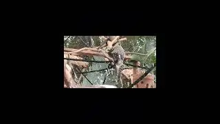 Edoardo al Parco Phoenix di Nizza con #animals