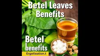 Betel Leaves Benefits: From Digestion to Diabetes | Natural Health Secrets