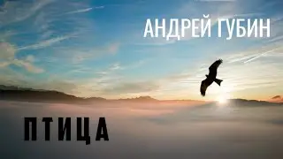 Птица — Андрей Губин|| изящество и шик 🔥🌸 красота и ♾️