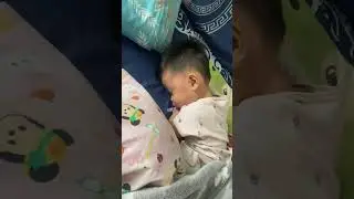 Get up my boy
