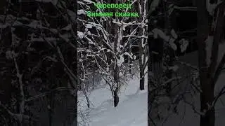 Зимняя сказка в Череповце. Череповец -  не только заводы, но и город в котором есть душа.#череповец