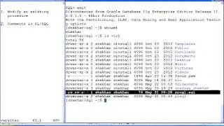 PL/SQL (Modify Existing Procedure)