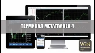 MetaTrader 4 где скачать и как пользоваться? Основные функции терминала. ИНСТРУКЦИЯ ДЛЯ ЧАЙНИКОВ
