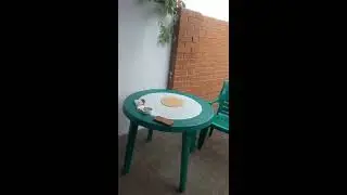 Мелекино. гостевой двор, осмотр, не далеко от моря,номера люкс и эконом !