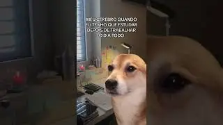 Vc tb tem TDAH? #tdah #memes #dogs