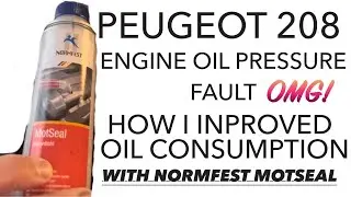 PEUGEOT 208 1.2 - NORMFEST MOTSEAL REVIEW (ENGINE OIL PRESSURE FAULT STOP THE VEHICLE. TEST RESULTS!