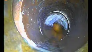 TLMWC Journey Through The Drain