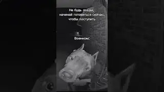 #егэ