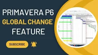 What is Global Change Feature in Primavera p6 ? 