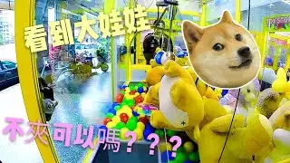 [阿牛夾娃娃]  #37   難戒的選物販賣機  不夾娃娃手癢癢    台灣UFO  UFOCATCHER
