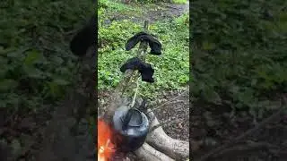 Отдых в горах Дагестана. Свежий чай на костре 😻
