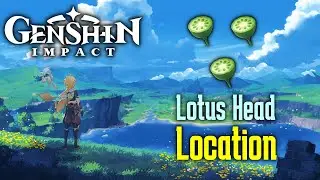 Genshin Impact - Find Lotus Head (0/2) commission | Lotus Head Location