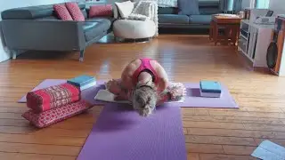 Yoga Fit vitalité 2 Routine  étirements du matin
