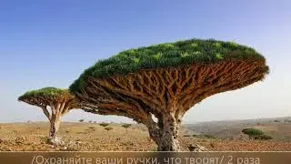 Охраняй свои уста