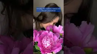 А какие ваши «нет» в букетах? #shorts #2024 #asmr #астрахань #пионы