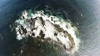flight in the sea