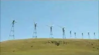 Fatal Attraction: Birds and Wind Turbines | KQED QUEST