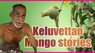 EP-3 കേളു ഏട്ടനും പിന്നെ പണ്ടാരക്കണ്ടി/പഞ്ചരക്കാണ്ടി മാങ്ങയും