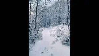 2 ноября 2023 г.