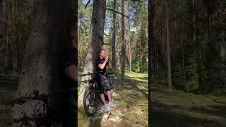 Лесная сказка 🌲✨💚