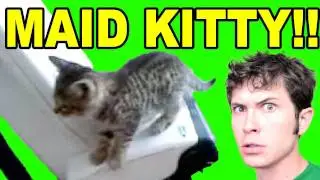 KITTY MAID!!