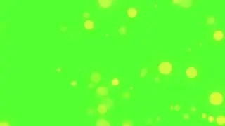 Free 4k Green Screen Multi Color Bokeh Light Effect